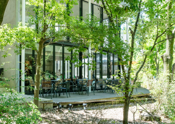 グリーンアセット マネジメント｜おもてなしの美観づくり