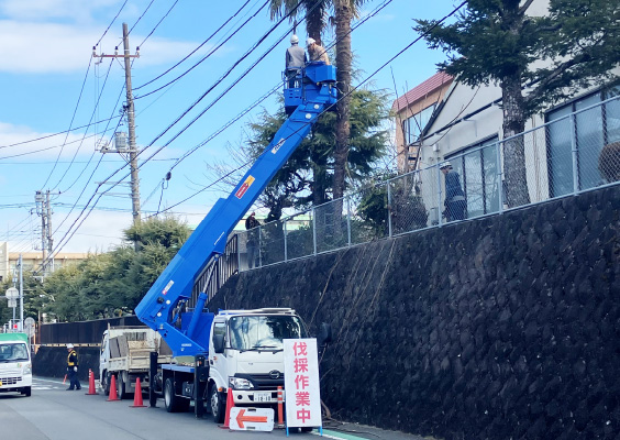 グリーンアセット マネジメント｜植物・お花のレンタル