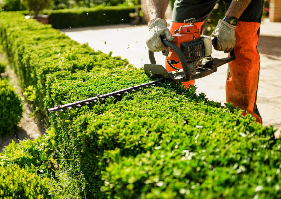 グリーンアセット マネジメント｜剪定・造園