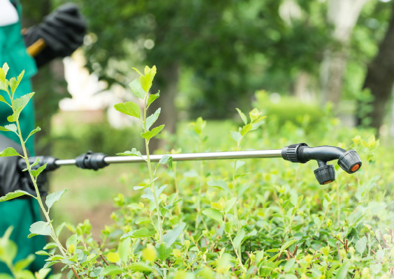 グリーンアセット マネジメント｜病害虫対策・消毒