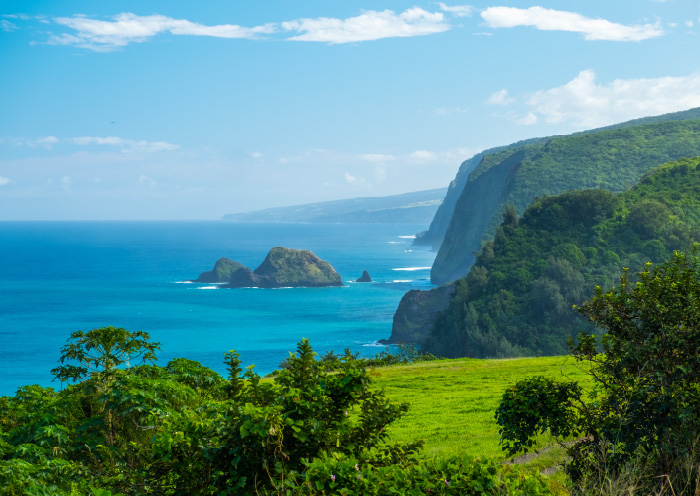 リネンサプライサービス 利用することで持続可能な未来へ